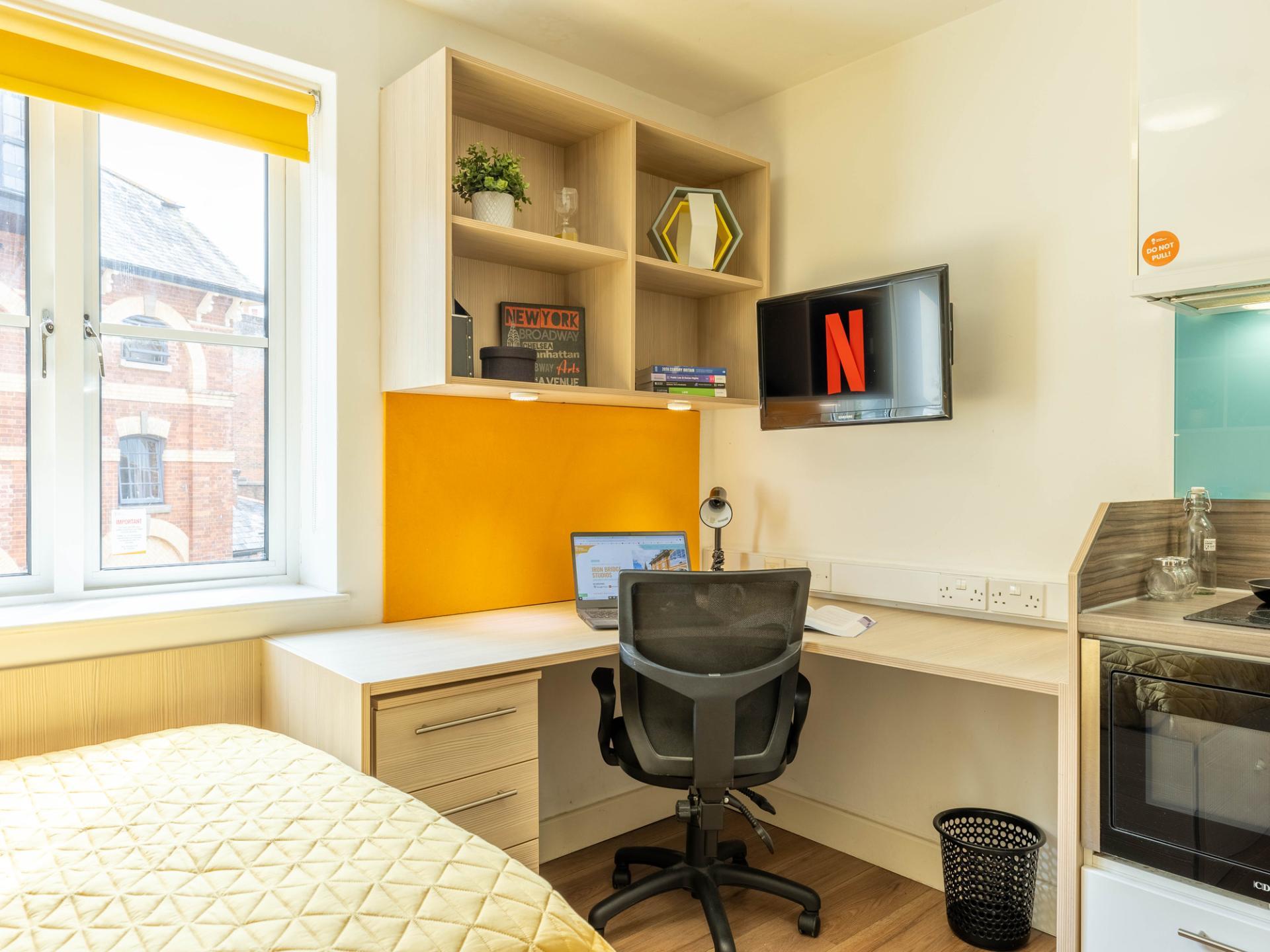  Classic Studio - Limited View  -  Iron Bridge Studios  - Gallery -  10