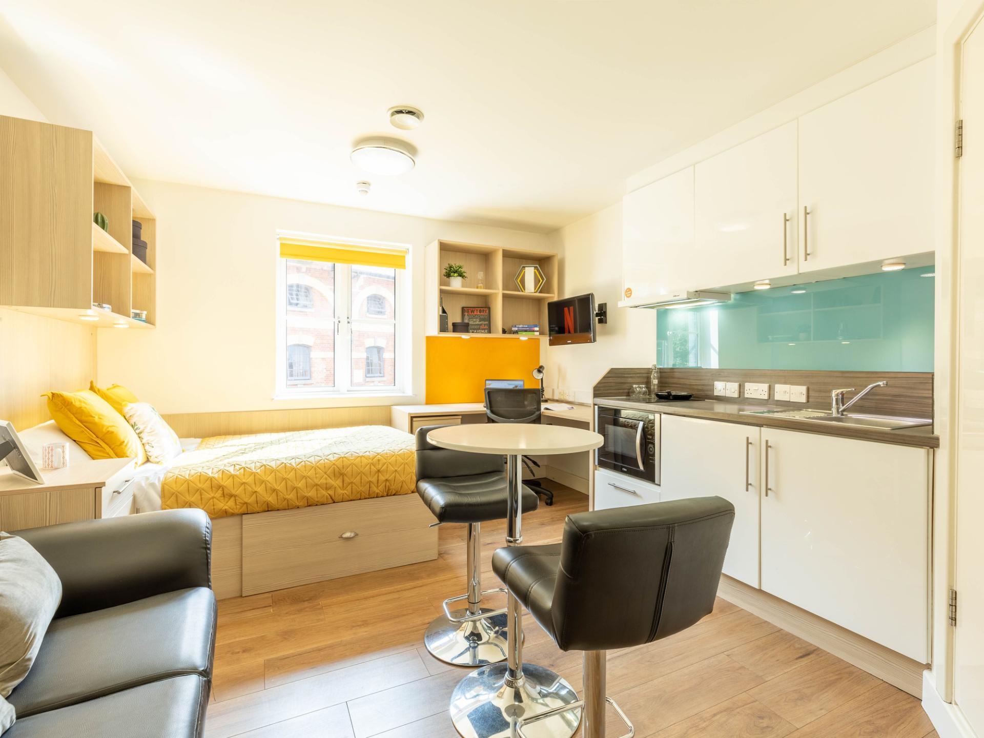  Classic Studio - Limited View  -  Iron Bridge Studios  - Gallery -  12