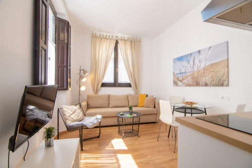 Cozy 2-bedroom apartment near Iglesia de San Antón