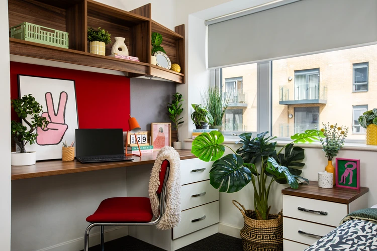  Small Standard Double Studio  -  Pier Quays  - Gallery -  4