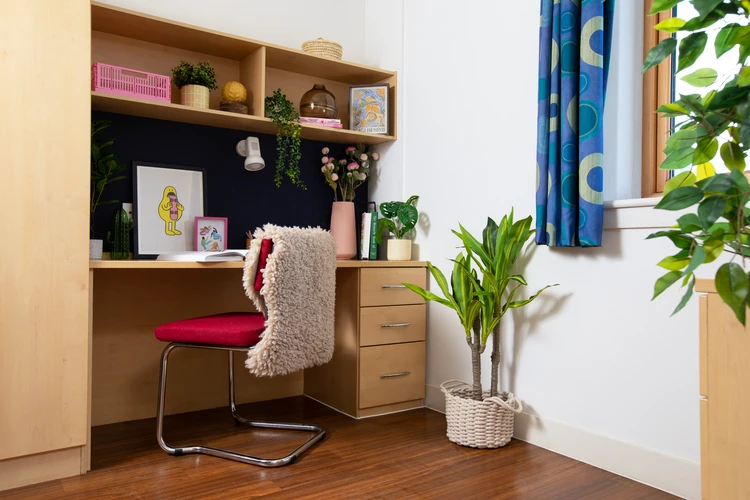  Double Wheelchair Accessible Studio  -  Pier Quays  - Gallery -  3