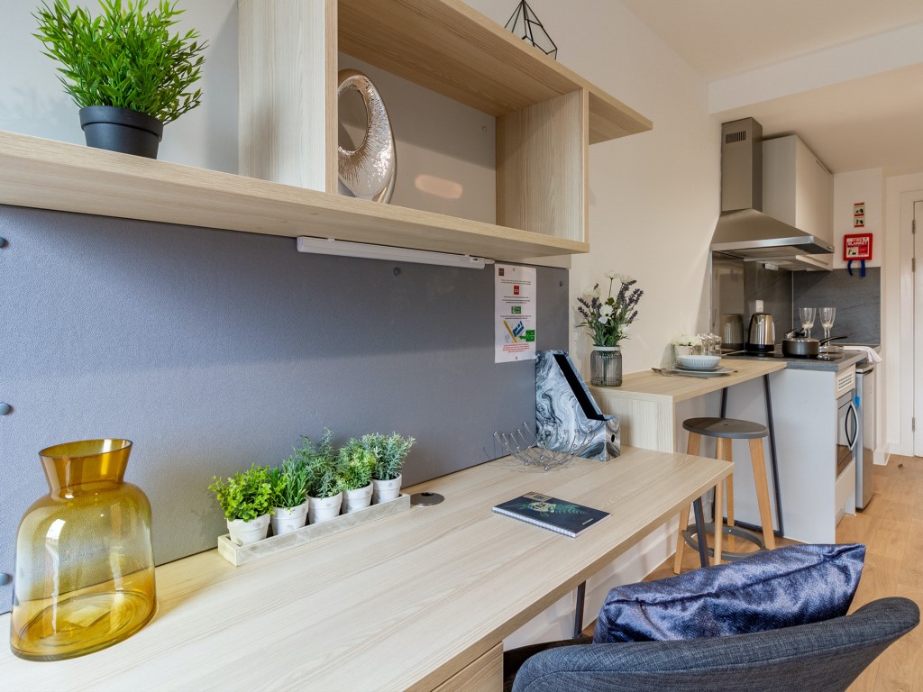  Premium Studio  -  Straits Village  - Gallery -  1