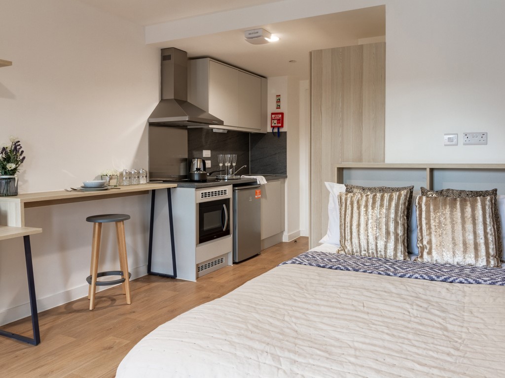  Premium Studio  -  Straits Village  - Gallery -  3