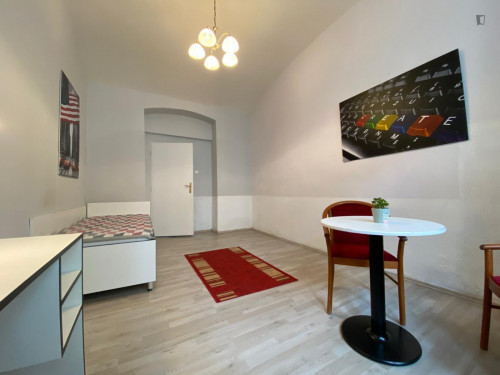 Lovely studio close to Prague University of Economics and Business