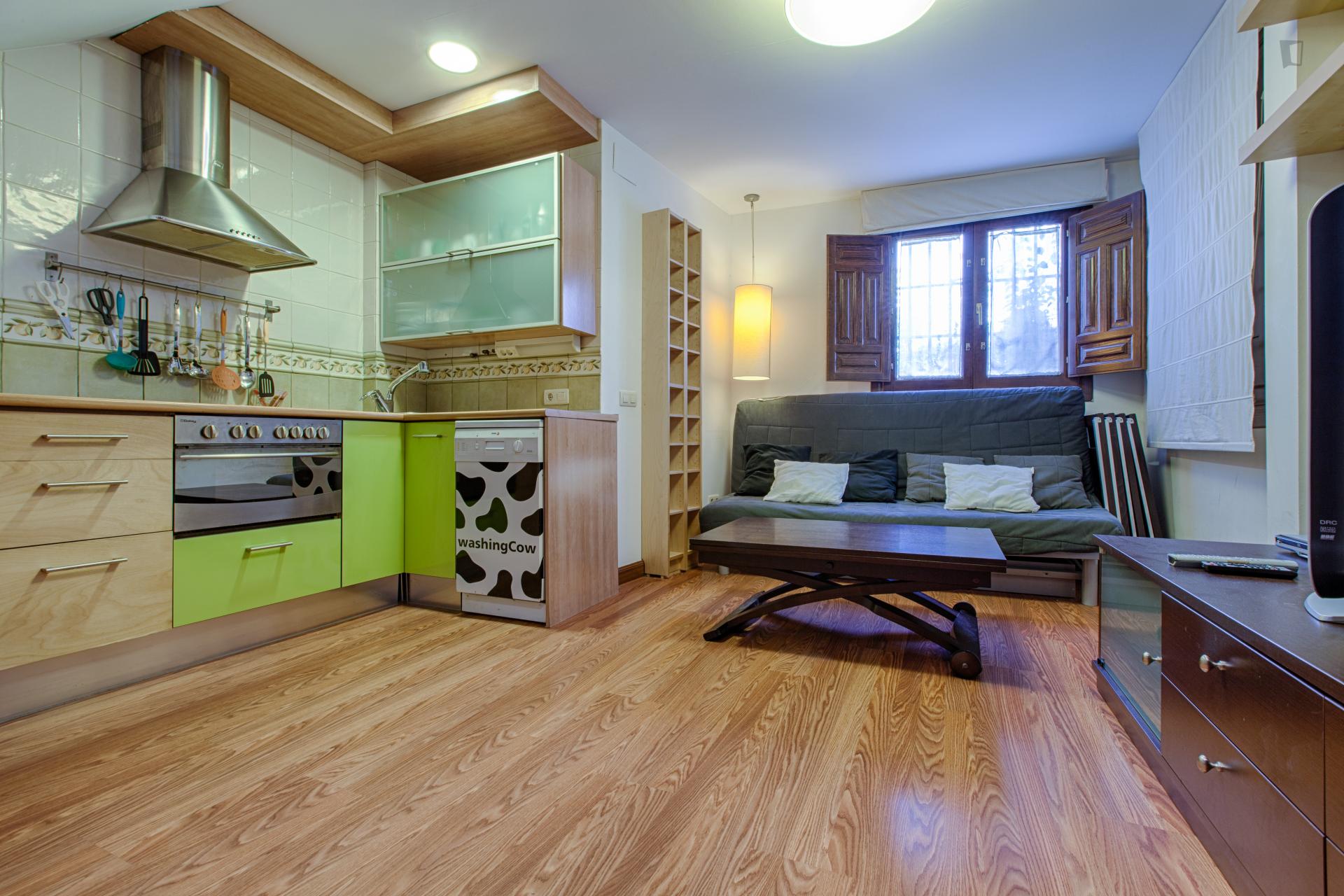 Very cool 1-bedroom duplex near the Alhambra
