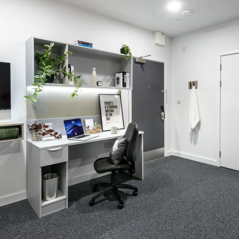 True Superior Studio - True Leicester - Gallery - 4