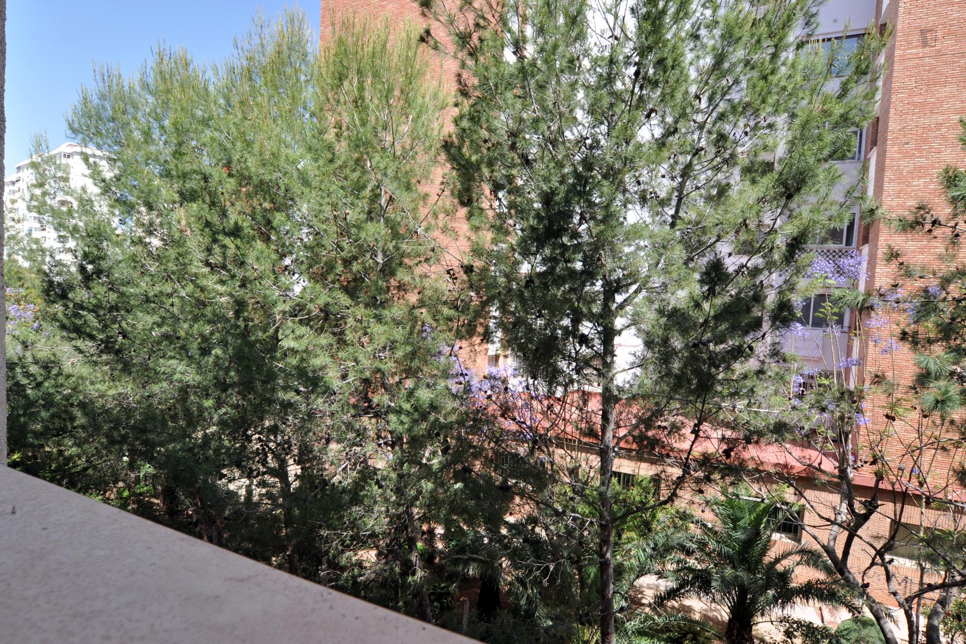 Single bedroom in a 4-bedroom apartment 15' walking from Campus Universitario