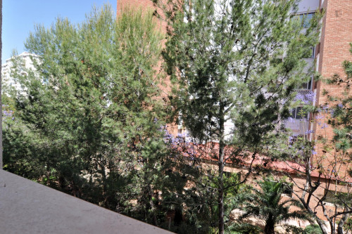 Bright and cosy single bedroom in a 4-bedroom apartment near Universidad Laboral - Gallery - 17
