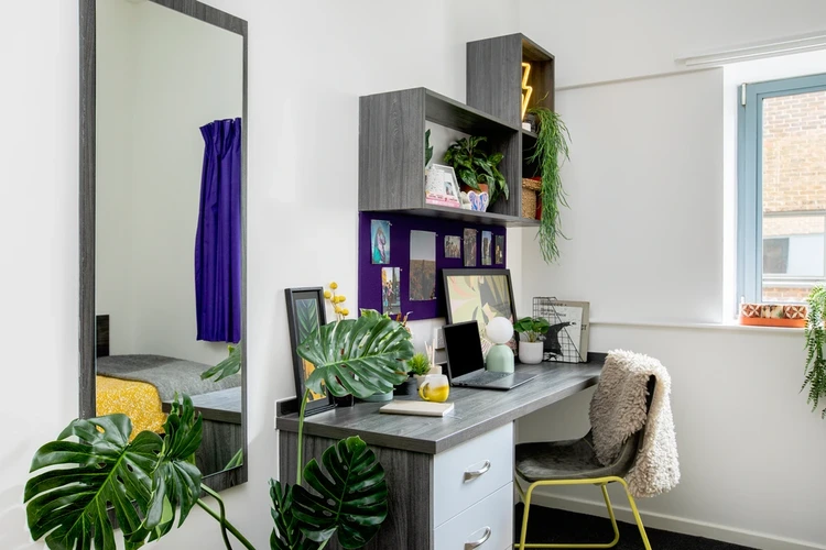  Medium Standard Double En-Suite  -  Orion Point  - Gallery -  3
