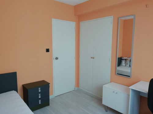 Single bedroom in 3-bedroom apartment