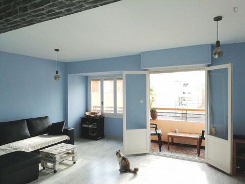 Single bedroom in 3-bedroom apartment