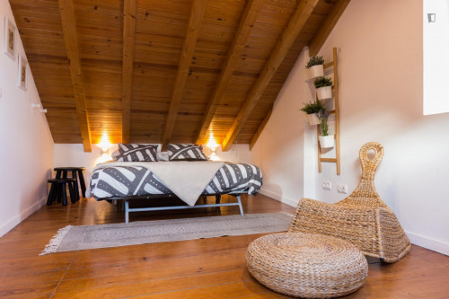 Small and comfy flat in Alfama - Gallery - 16