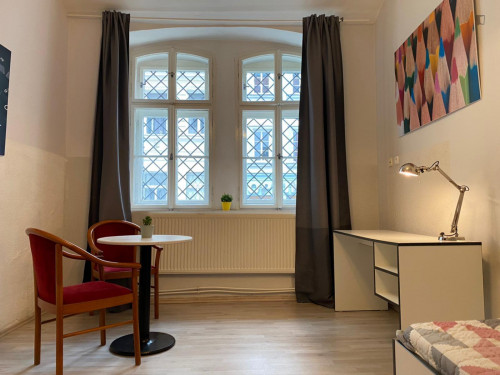 Pleasant studio in Žižkov