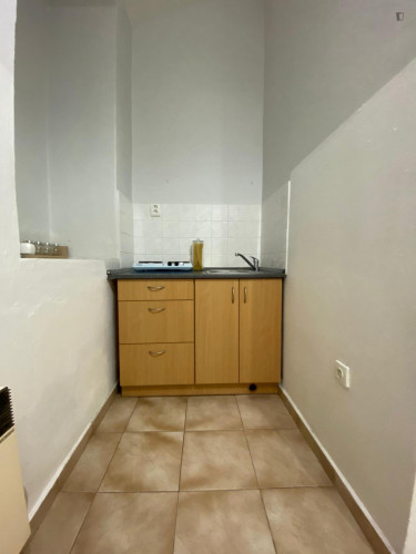 Pleasant studio in Žižkov