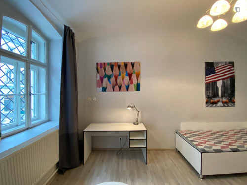 Very cosy studio in Žižkov