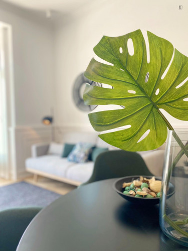 Luxury 1 Bedroom apartment close to Miradouro de São Pedro de Alcântara - Gallery - 14