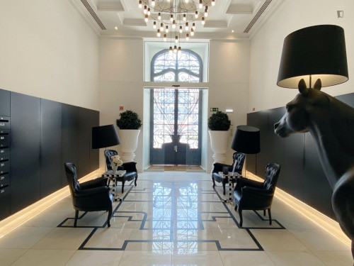 Luxury 1 Bedroom apartment close to Miradouro de São Pedro de Alcântara