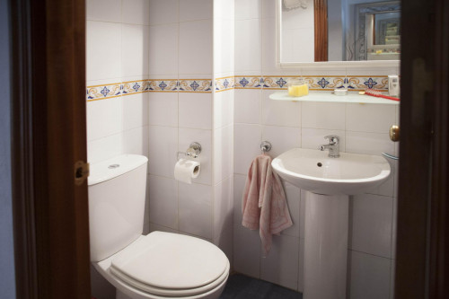 Suitable single bedroom in a 3-bedroom flat, in La Negrilla - Gallery - 12
