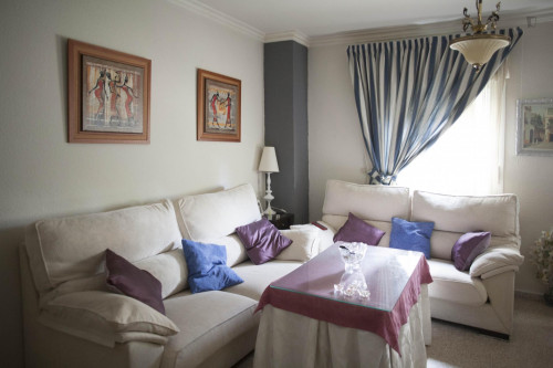 Single bedroom in a 3-bedroom flat, with private bathroom in La Negrilla  - Gallery -  5
