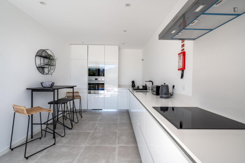 Splendid 3-bedroom house in Sintra - Gallery - 32