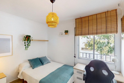 Great looking single bedroom