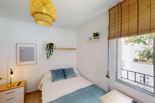 Great looking single bedroom