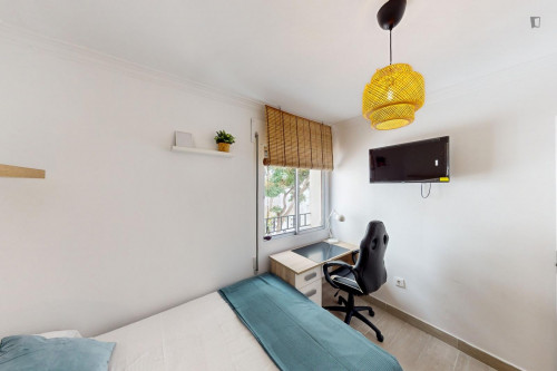 Great looking single bedroom