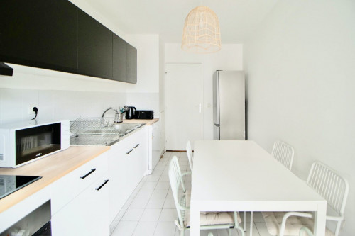 Volta Home II