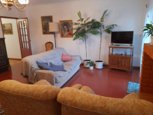 Comfy single bedroom close to Universidade do Minho  - Gallery -  5