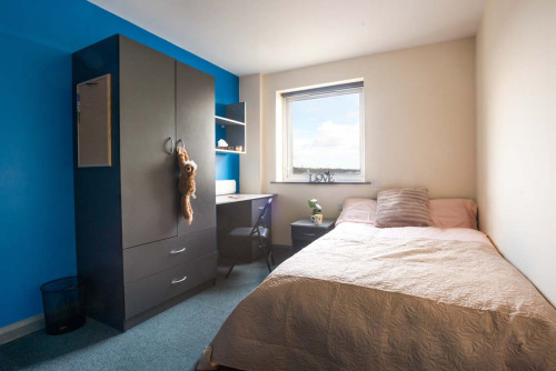 Stoke Student Village - Gallery - 80