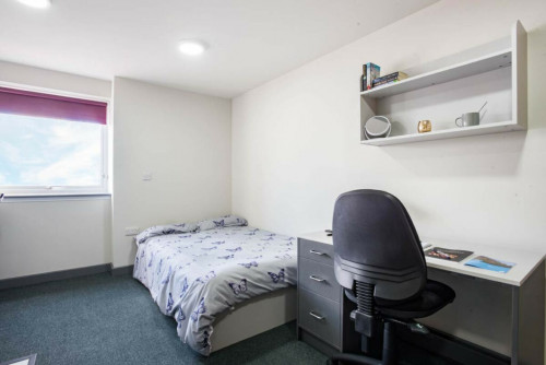 Stoke Student Village - Gallery - 14