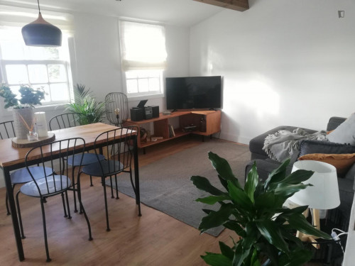 Very cool 2-bedroom apartment near Universidade de Coimbra