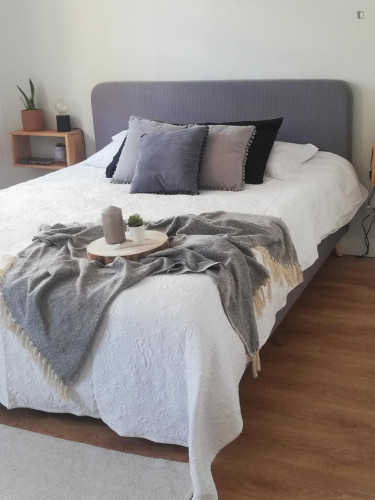 Very cool 2-bedroom apartment near Universidade de Coimbra