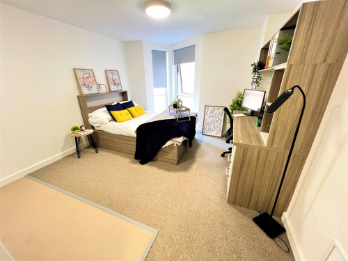 Q Studios - Gallery - 67