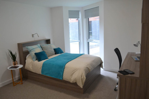 Q Studios  - Gallery -  5