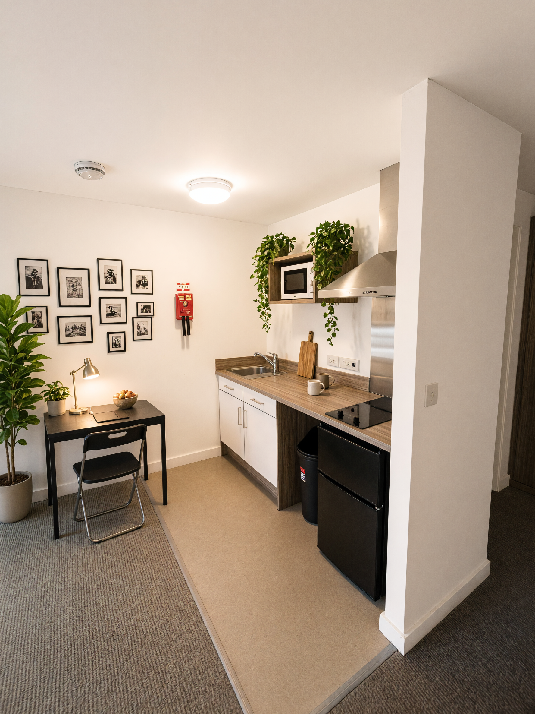 Penthouse Studio - 22