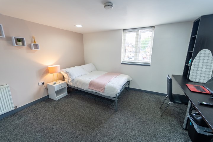  Studio Large  -  24 Dale Road  - Gallery -  12