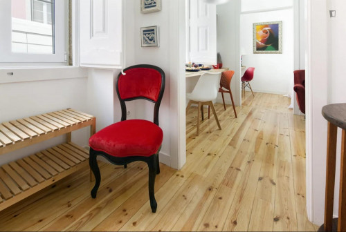 Delightful 1-bedroom apartment in Lapa