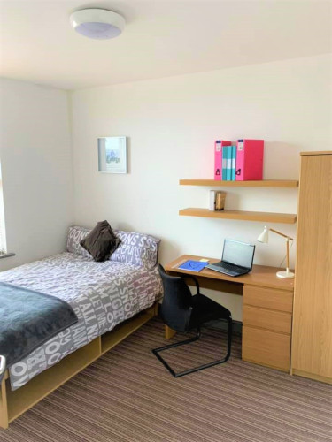 Millfield House - Gallery - 42