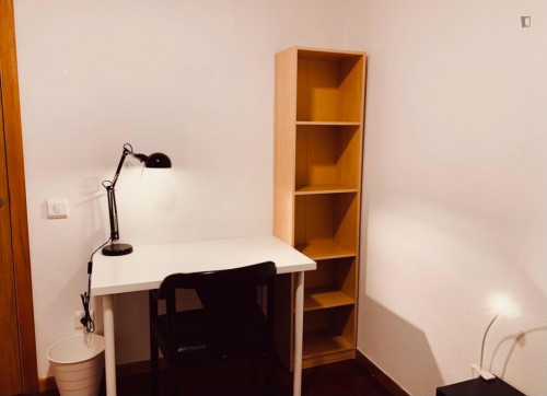 Nice single bedroom near Campus Vida of USC