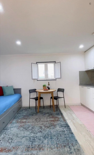 Very cool studio in Ajuda