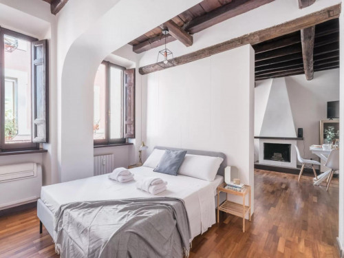 Appealing 1-bedroom apartment neer the John Cabot University Guarini Campus