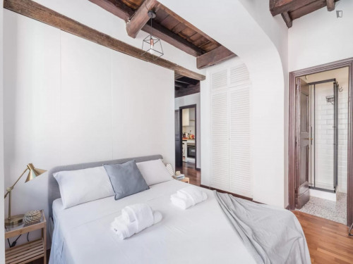 Appealing 1-bedroom apartment neer the John Cabot University Guarini Campus