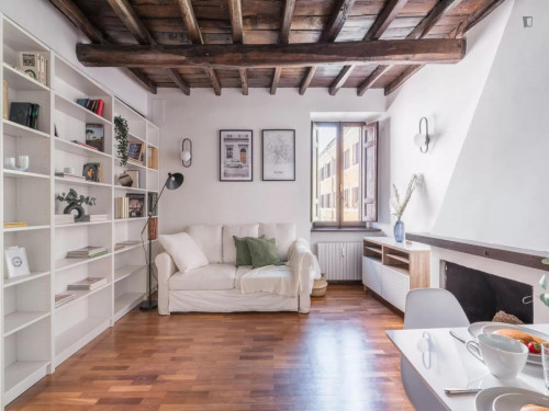 Appealing 1-bedroom apartment neer the John Cabot University Guarini Campus