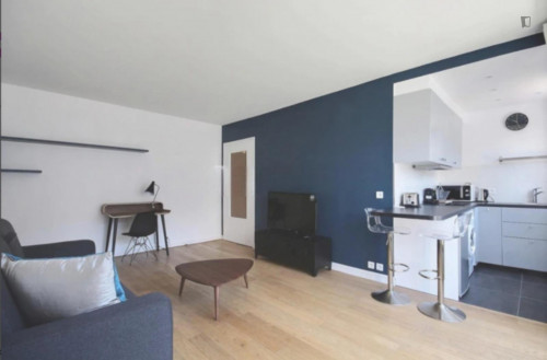Very pleasant studio in Billancourt–Rives de Seine