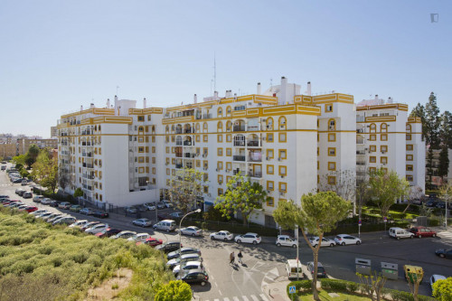 Bright double bedroom not far from Facultad de Medicina - Gallery - 6