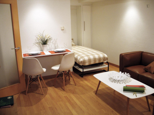 Beautiful 1-bedroom apartment near Universidad Pública De Salamanca Centralita - Gallery - 10