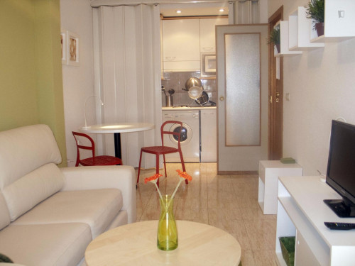 Amazing 1-bedroom apartment near Universidad de Salamanca - Gallery - 8