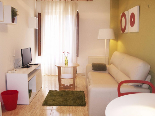 Amazing 1-bedroom apartment near Universidad de Salamanca - Gallery - 7
