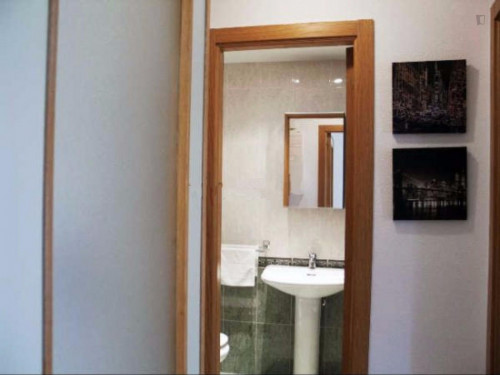 Amazing 1-bedroom apartment near Universidad de Salamanca - Gallery - 9